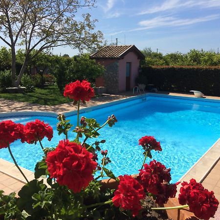 트라피텔로 Il Giardino Segreto B&B 외부 사진