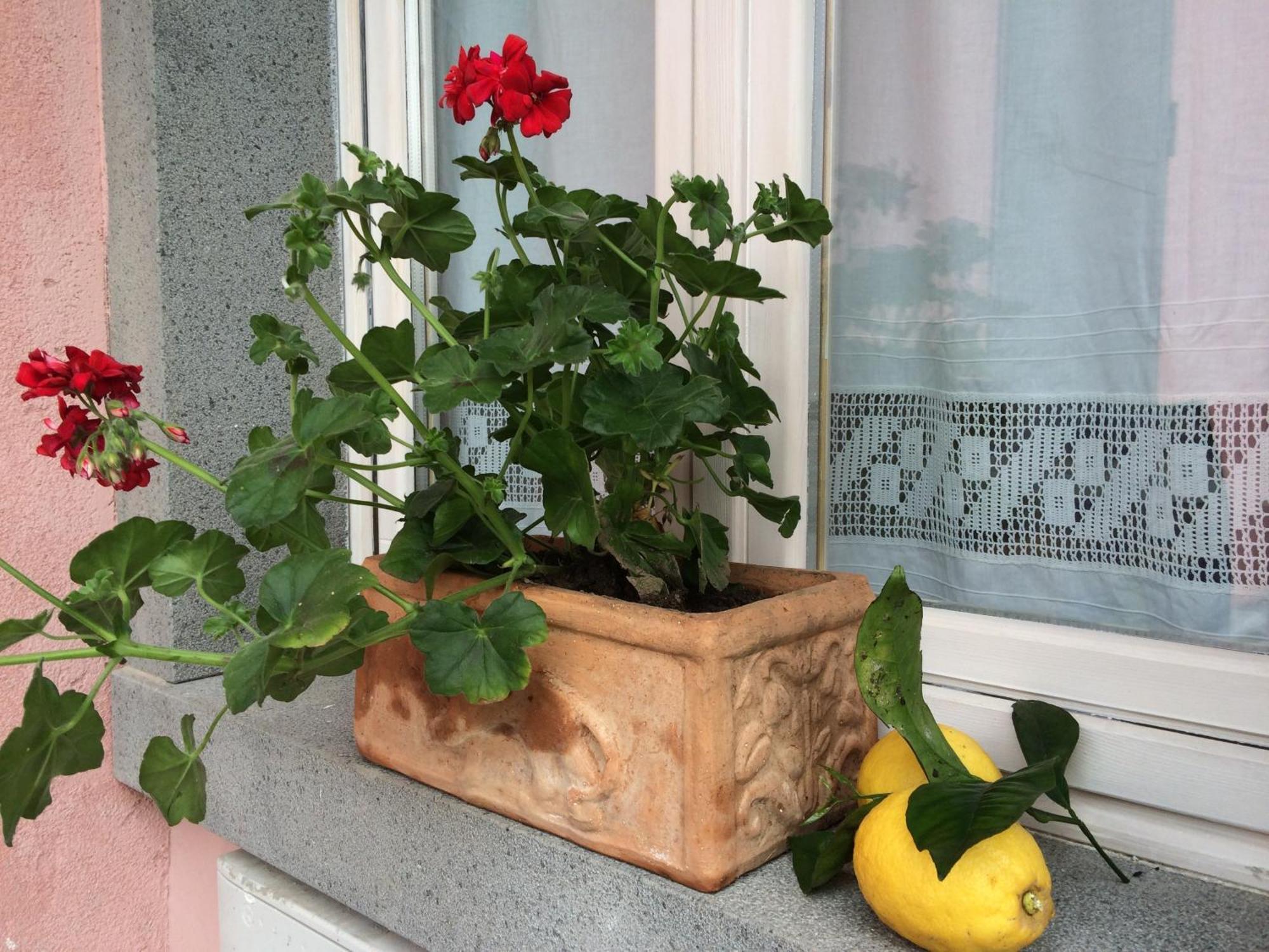 트라피텔로 Il Giardino Segreto B&B 외부 사진