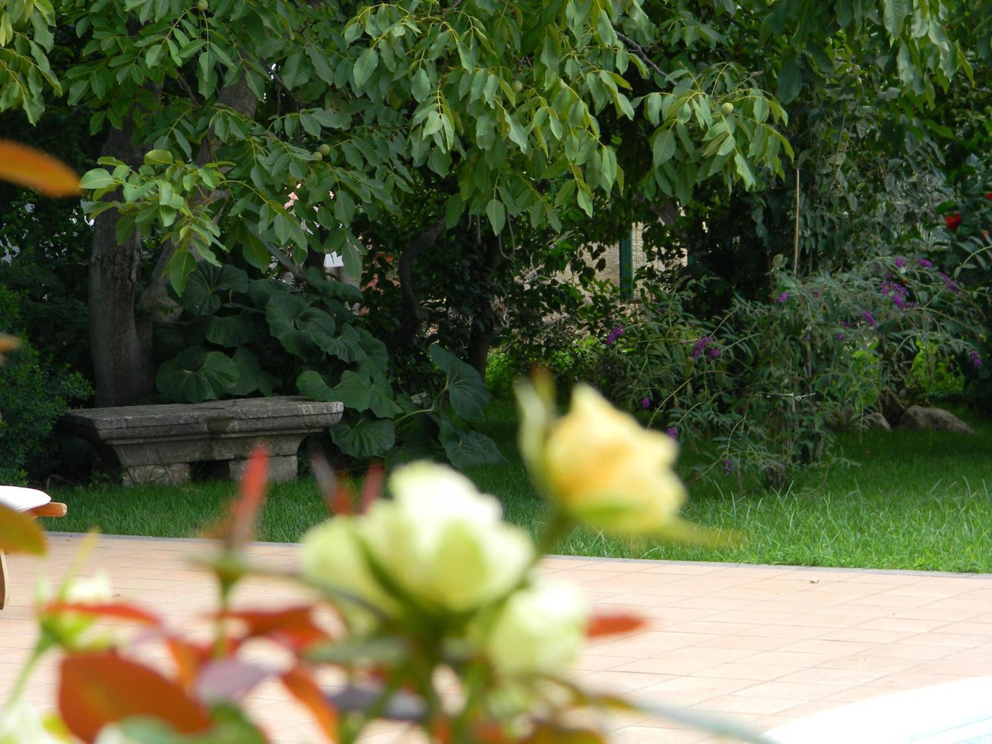 트라피텔로 Il Giardino Segreto B&B 외부 사진