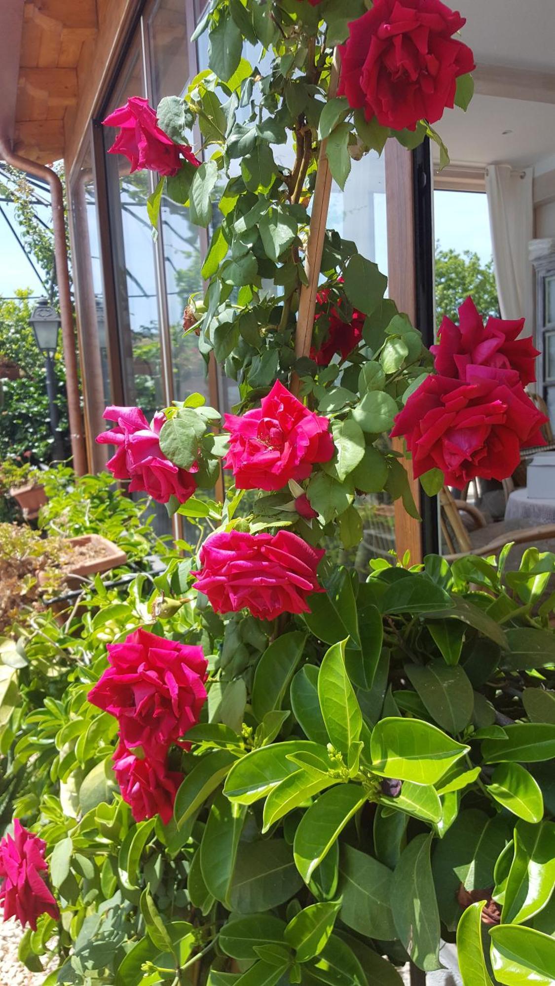 트라피텔로 Il Giardino Segreto B&B 외부 사진