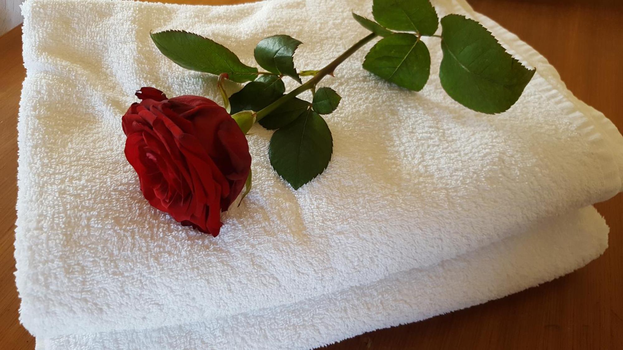 트라피텔로 Il Giardino Segreto B&B 외부 사진